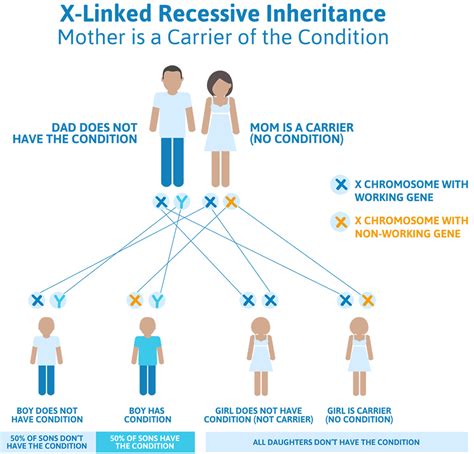 is red green color blindness recessive